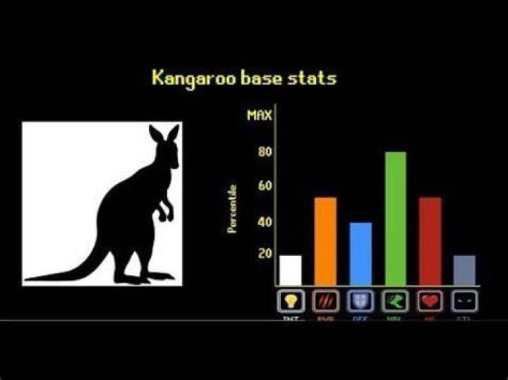 TierZoo video statistics